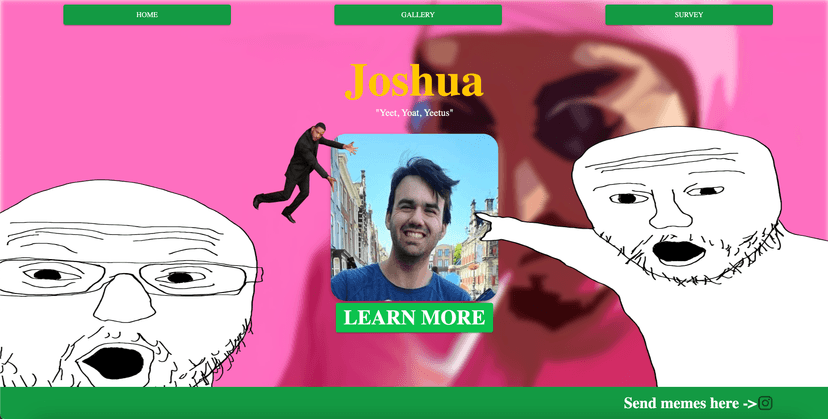 Dating Profile Website